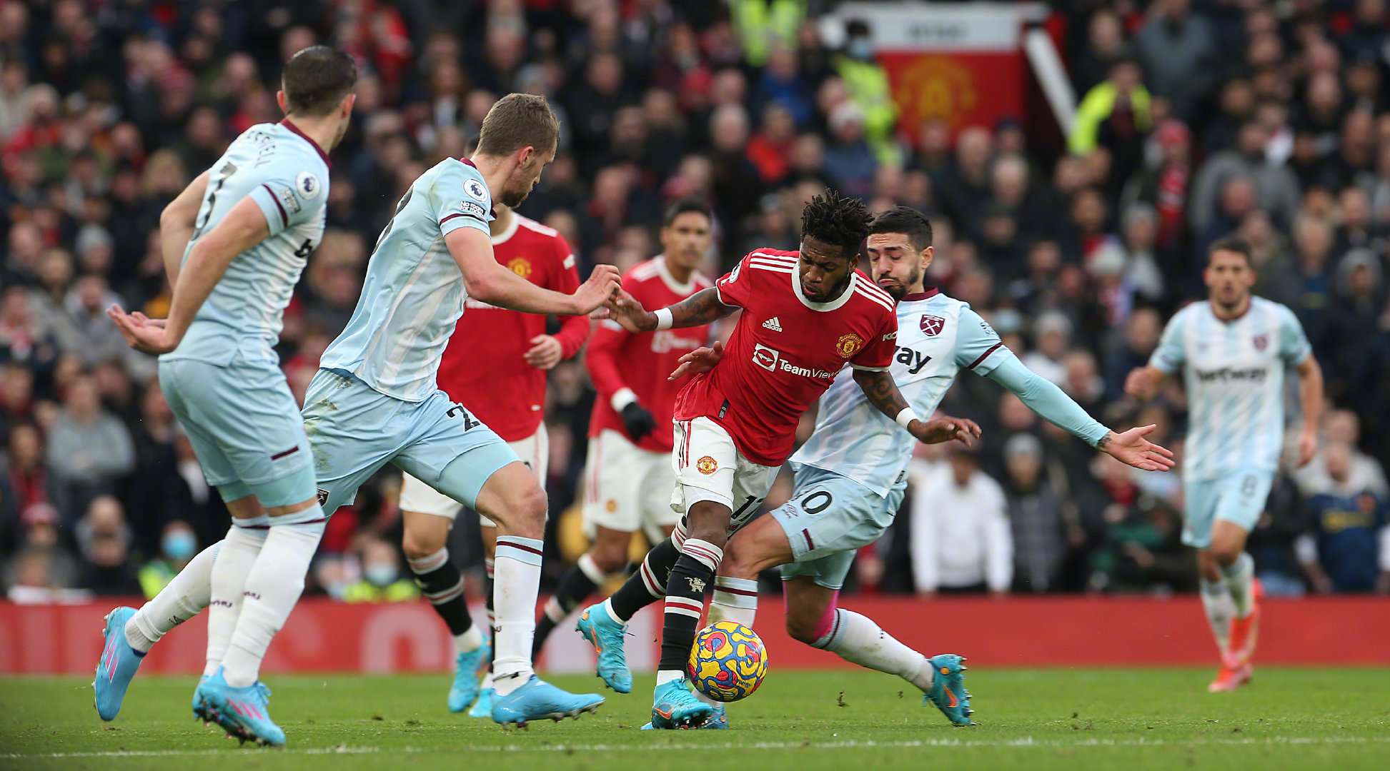 界最纯粹的 界最纯粹的